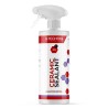 Gtechniq C2v4 Liquid Crystal Ceramic Sealant